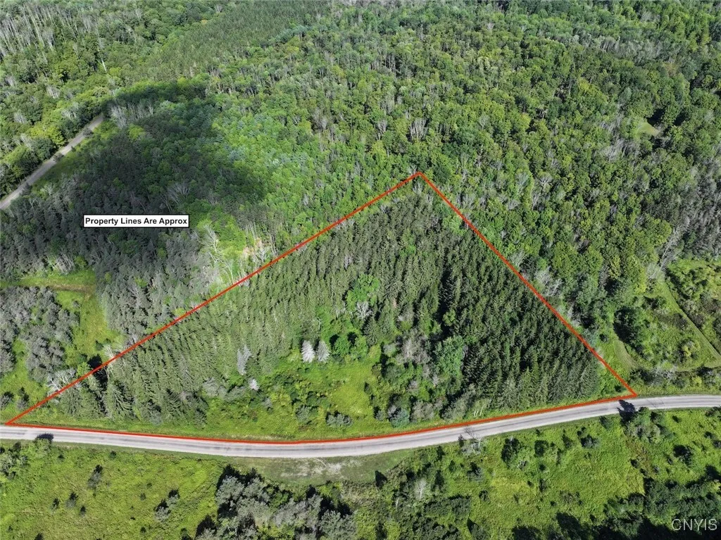 East Valley Road, Alfred, New York 14806, Alfred, New York 14806, 3 Bedrooms Bedrooms, ,Land,For Sale,East Valley Road, Alfred, New York 14806,S1632852