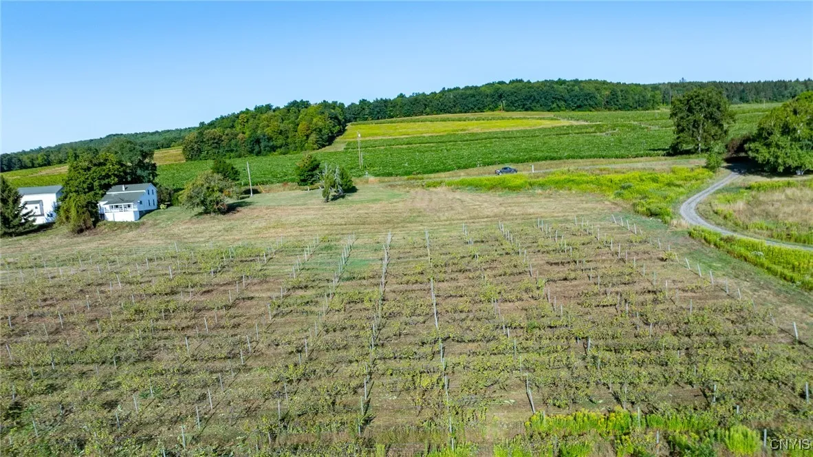 Lot A County Route 76, Urbana, New York 14840, Urbana, New York 14840, 3 Bedrooms Bedrooms, ,1 BathroomBathrooms,Land,For Sale,Lot A County Route 76, Urbana, New York 14840,S1632565