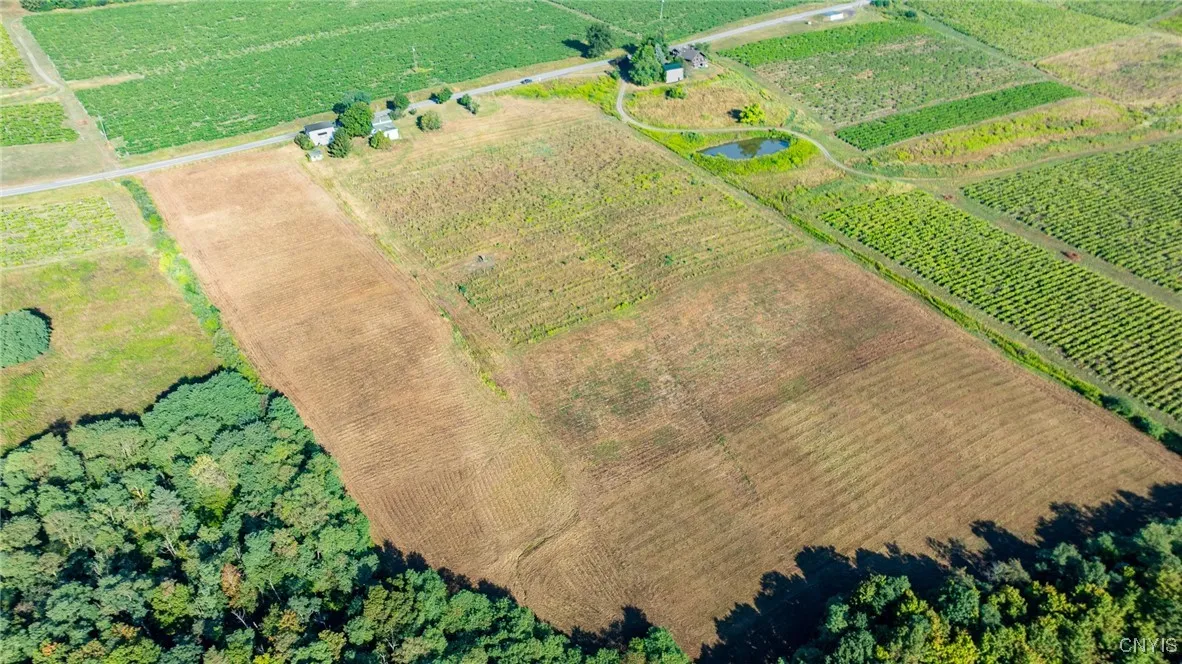 Lot A County Route 76, Urbana, New York 14840, Urbana, New York 14840, 3 Bedrooms Bedrooms, ,1 BathroomBathrooms,Land,For Sale,Lot A County Route 76, Urbana, New York 14840,S1632565