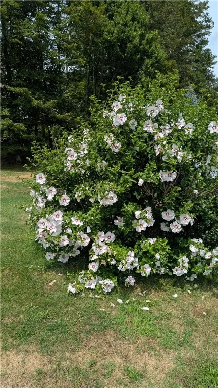 7423 County Highway 16, Franklin, New York 13753, Franklin, New York 13753, 3 Bedrooms Bedrooms, 7 Rooms Rooms,2 BathroomsBathrooms,Residential,For Sale,7423 County Highway 16, Franklin, New York 13753,R1632913