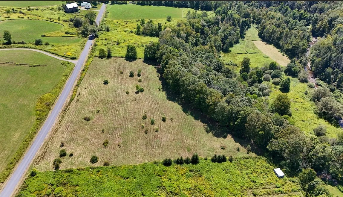 100 Pomeroy Road, Franklin, New York 13775, Franklin, New York 13775, ,Land,For Sale,100 Pomeroy Road, Franklin, New York 13775,R1632865