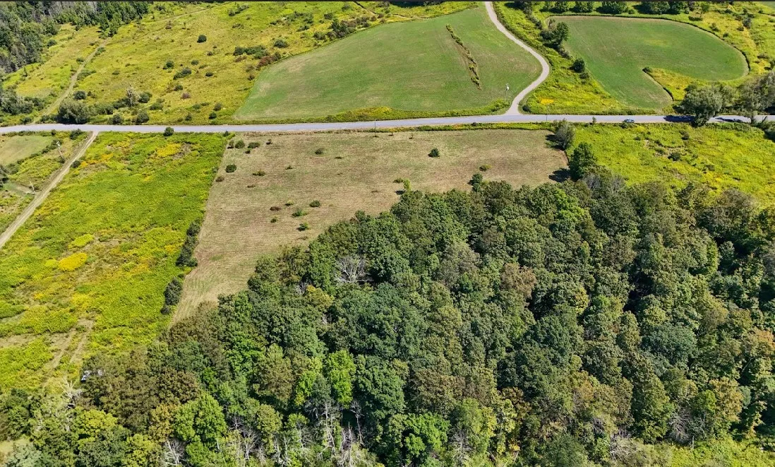 100 Pomeroy Road, Franklin, New York 13775, Franklin, New York 13775, ,Land,For Sale,100 Pomeroy Road, Franklin, New York 13775,R1632865