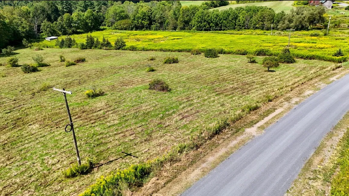 100 Pomeroy Road, Franklin, New York 13775, Franklin, New York 13775, ,Land,For Sale,100 Pomeroy Road, Franklin, New York 13775,R1632865