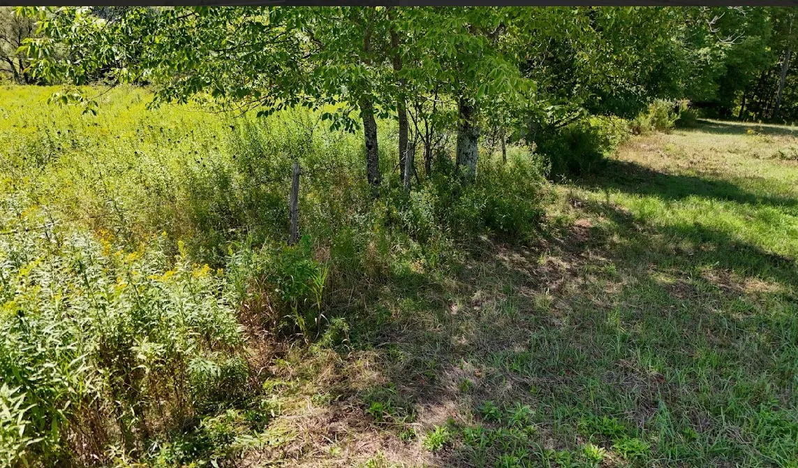 100 Pomeroy Road, Franklin, New York 13775, Franklin, New York 13775, ,Land,For Sale,100 Pomeroy Road, Franklin, New York 13775,R1632865