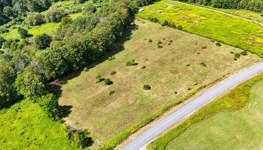 100 Pomeroy Road, Franklin, New York 13775, Franklin, New York 13775, ,Land,For Sale,100 Pomeroy Road, Franklin, New York 13775,R1632865