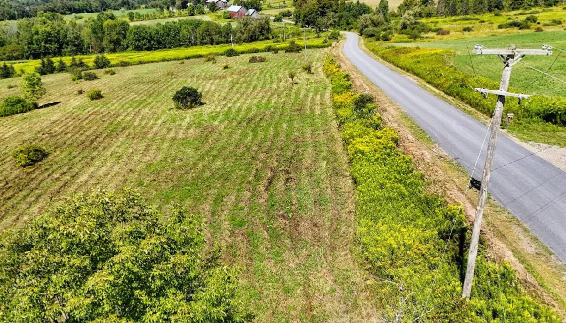 100 Pomeroy Road, Franklin, New York 13775, Franklin, New York 13775, ,Land,For Sale,100 Pomeroy Road, Franklin, New York 13775,R1632865