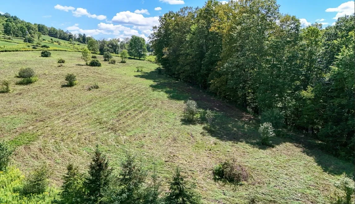 100 Pomeroy Road, Franklin, New York 13775, Franklin, New York 13775, ,Land,For Sale,100 Pomeroy Road, Franklin, New York 13775,R1632865
