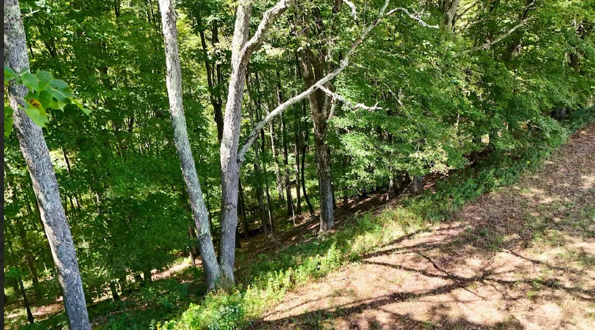 100 Pomeroy Road, Franklin, New York 13775, Franklin, New York 13775, ,Land,For Sale,100 Pomeroy Road, Franklin, New York 13775,R1632865