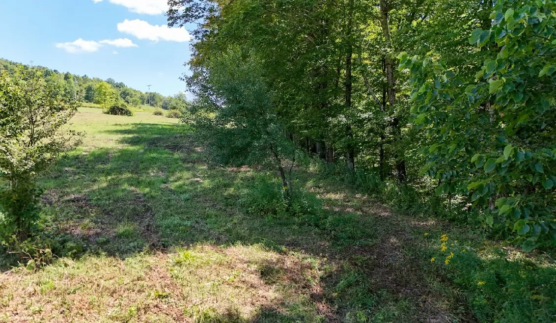100 Pomeroy Road, Franklin, New York 13775, Franklin, New York 13775, ,Land,For Sale,100 Pomeroy Road, Franklin, New York 13775,R1632865