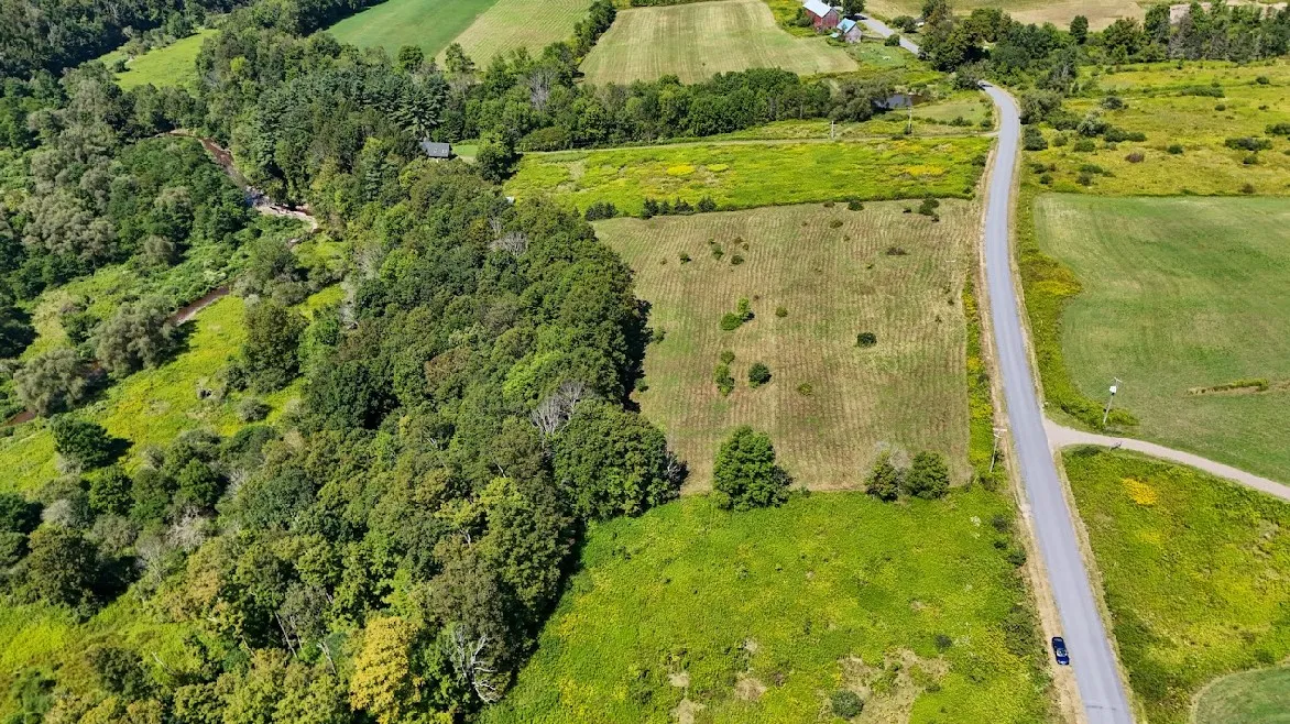 100 Pomeroy Road, Franklin, New York 13775, Franklin, New York 13775, ,Land,For Sale,100 Pomeroy Road, Franklin, New York 13775,R1632865