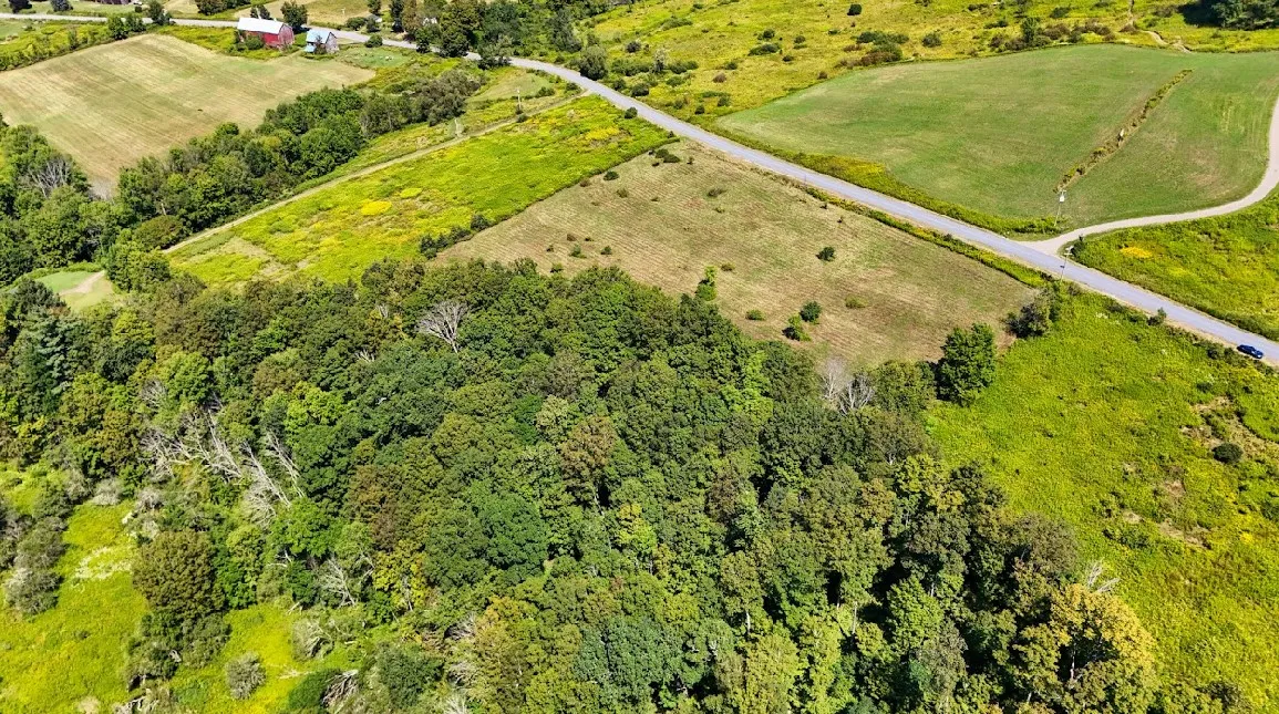 100 Pomeroy Road, Franklin, New York 13775, Franklin, New York 13775, ,Land,For Sale,100 Pomeroy Road, Franklin, New York 13775,R1632865