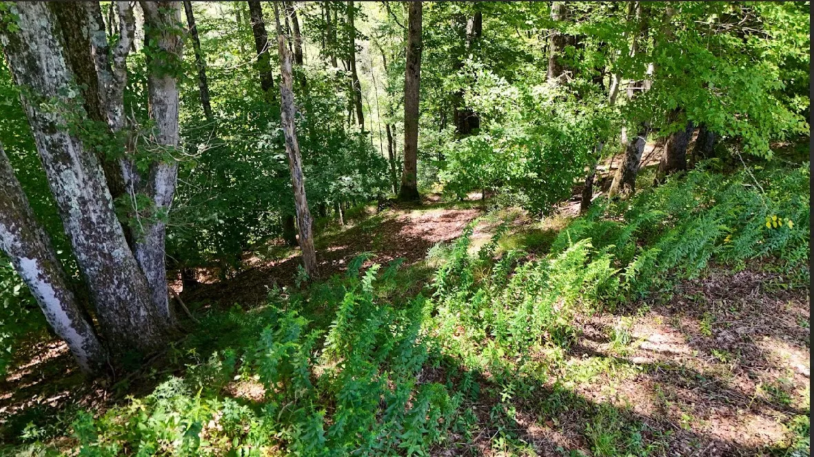 100 Pomeroy Road, Franklin, New York 13775, Franklin, New York 13775, ,Land,For Sale,100 Pomeroy Road, Franklin, New York 13775,R1632865