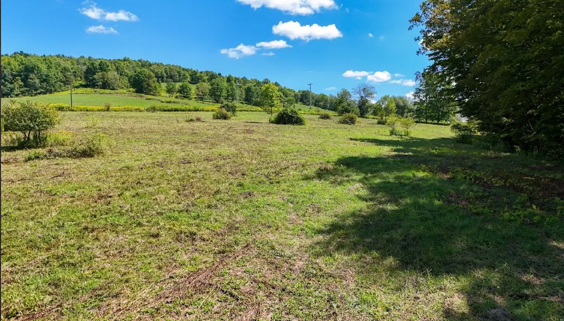 100 Pomeroy Road, Franklin, New York 13775, Franklin, New York 13775, ,Land,For Sale,100 Pomeroy Road, Franklin, New York 13775,R1632865