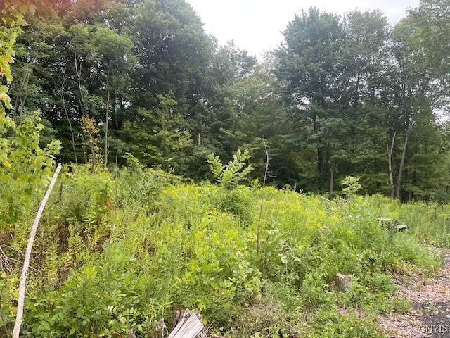 5745 State Route 104, Scriba, New York 13126, Scriba, New York 13126, ,Land,For Sale,5745 State Route 104, Scriba, New York 13126,S1632704