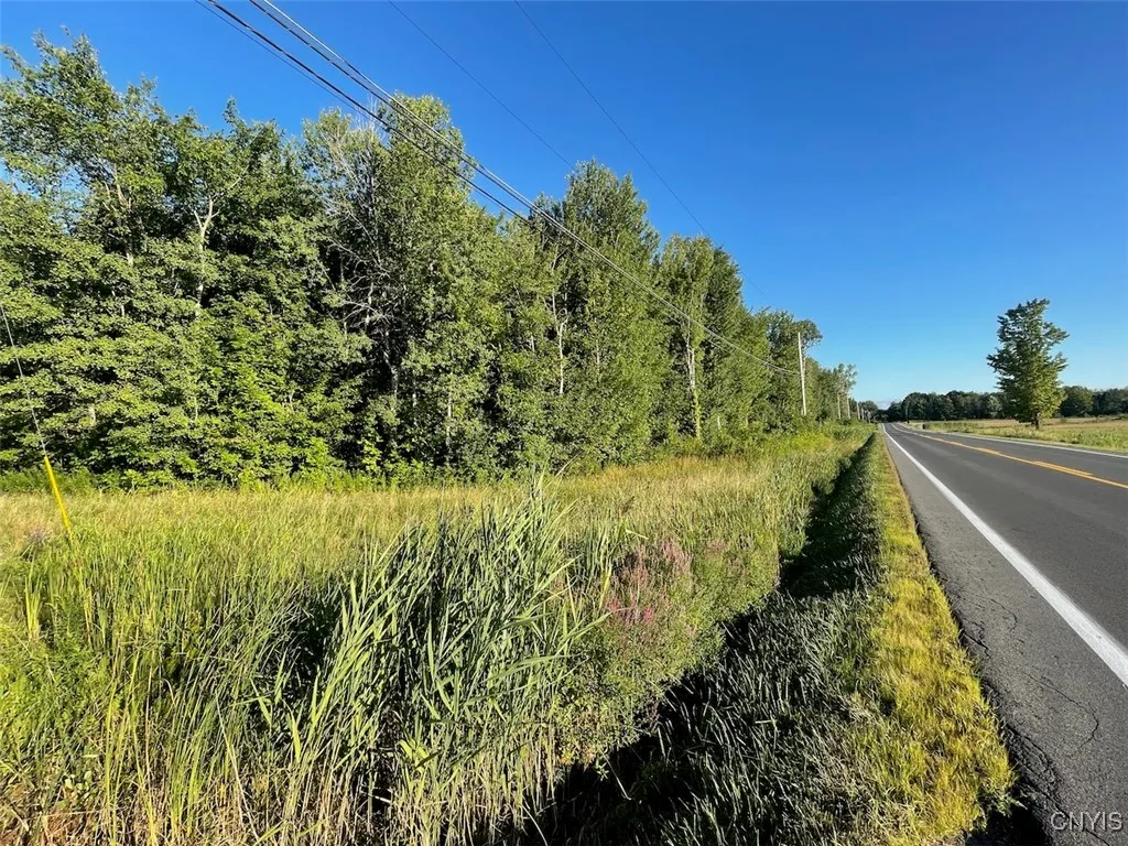 0 Co Rt 176, Volney, New York 13069, Volney, New York 13069, ,Land,For Sale,0 Co Rt 176, Volney, New York 13069,S1632930