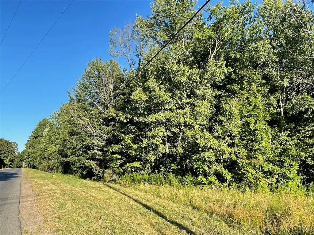 0 Co Rt 176, Volney, New York 13069, Volney, New York 13069, ,Land,For Sale,0 Co Rt 176, Volney, New York 13069,S1632930