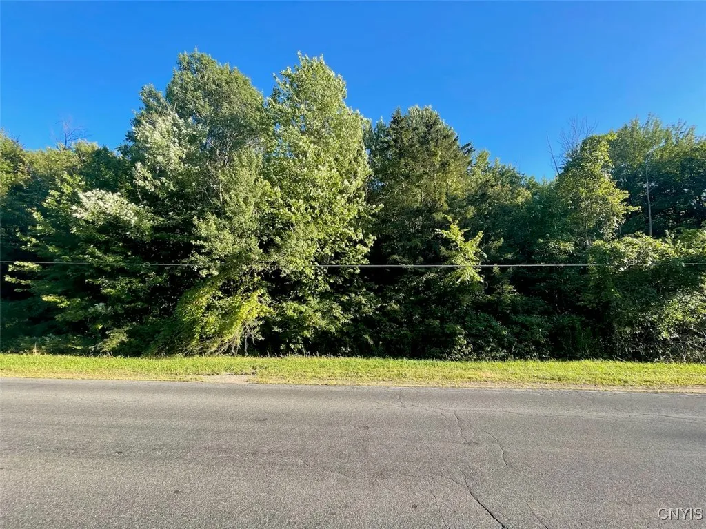 0 Co Rt 176, Volney, New York 13069, Volney, New York 13069, ,Land,For Sale,0 Co Rt 176, Volney, New York 13069,S1632930