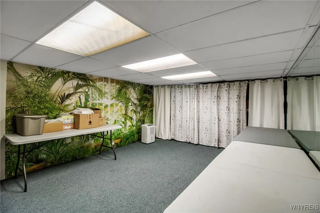 BASEMENT WORK OUT ROOM