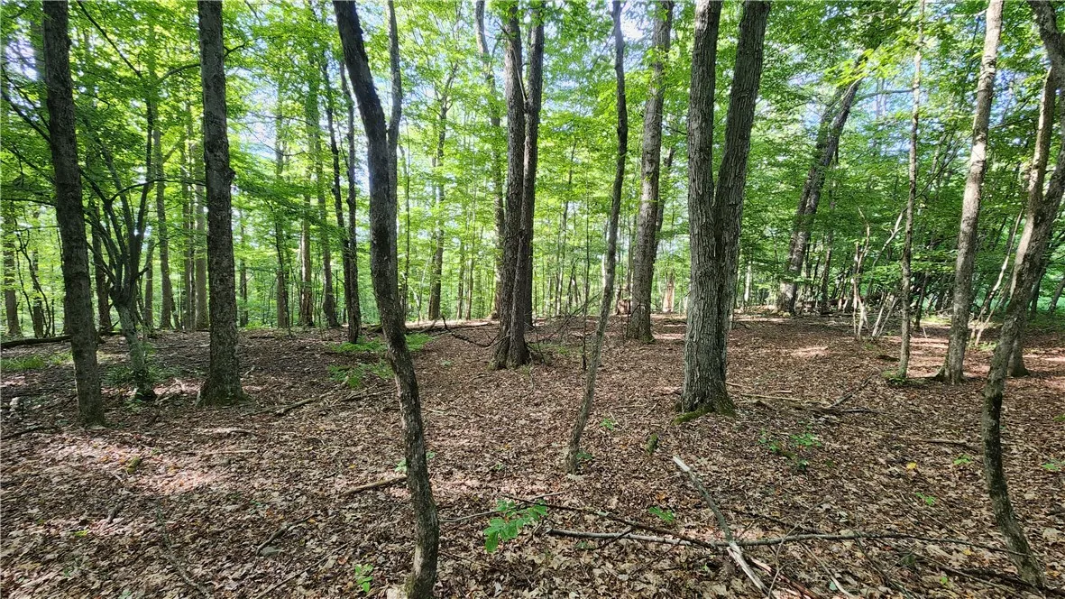 0 Hardknocks Road, Unadilla, New York 13849, Unadilla, New York 13849, ,Land,For Sale,0 Hardknocks Road, Unadilla, New York 13849,R1626482