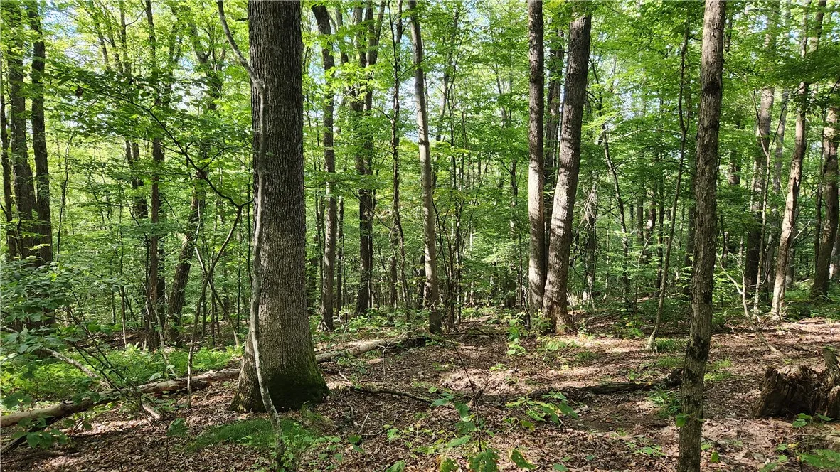 0 Hardknocks Road, Unadilla, New York 13849, Unadilla, New York 13849, ,Land,For Sale,0 Hardknocks Road, Unadilla, New York 13849,R1626482