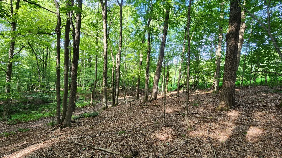 0 Hardknocks Road, Unadilla, New York 13849, Unadilla, New York 13849, ,Land,For Sale,0 Hardknocks Road, Unadilla, New York 13849,R1626482