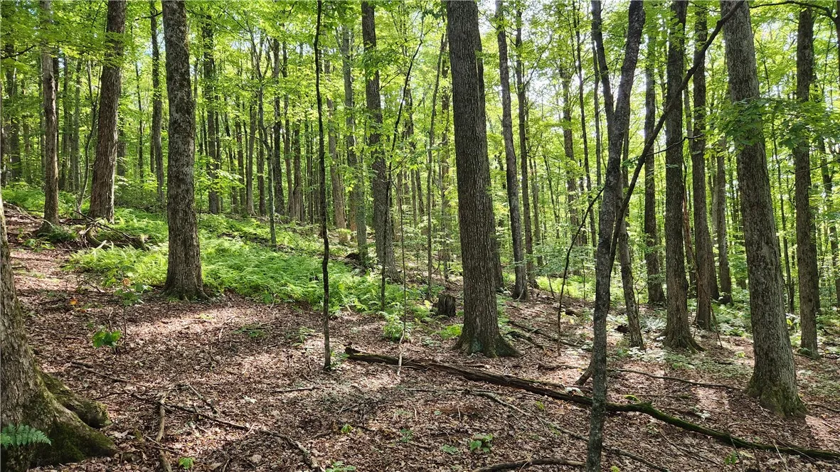 0 Hardknocks Road, Unadilla, New York 13849, Unadilla, New York 13849, ,Land,For Sale,0 Hardknocks Road, Unadilla, New York 13849,R1626482