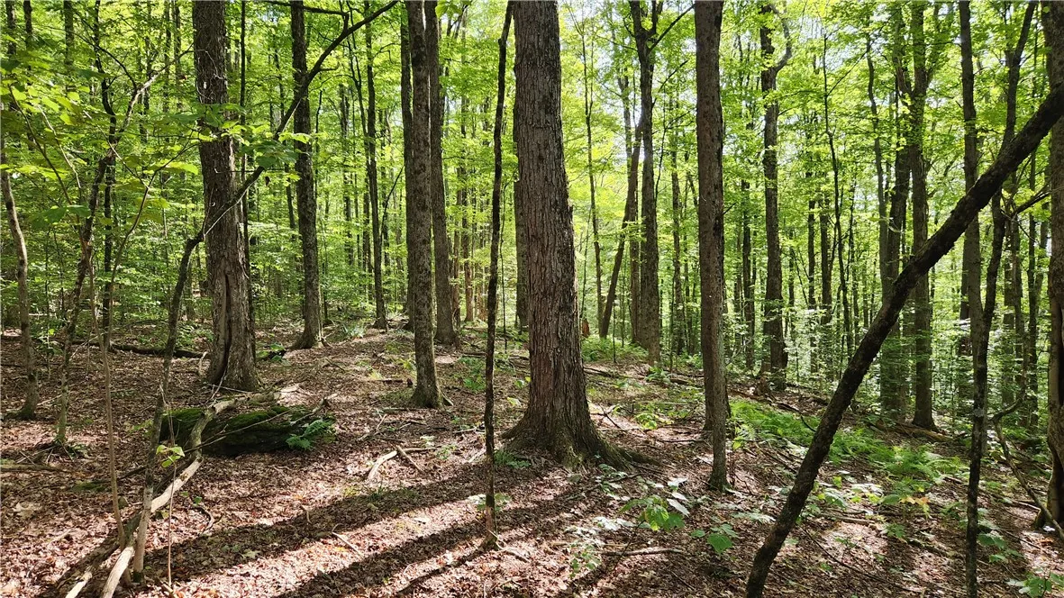 0 Hardknocks Road, Unadilla, New York 13849, Unadilla, New York 13849, ,Land,For Sale,0 Hardknocks Road, Unadilla, New York 13849,R1626482