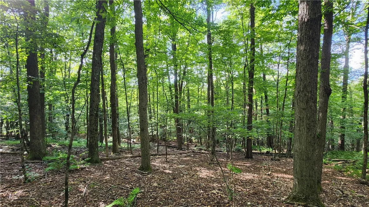 0 Hardknocks Road, Unadilla, New York 13849, Unadilla, New York 13849, ,Land,For Sale,0 Hardknocks Road, Unadilla, New York 13849,R1626482