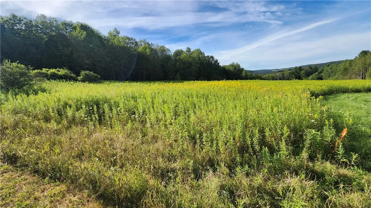0 Hardknocks Road, Unadilla, New York 13849, Unadilla, New York 13849, ,Land,For Sale,0 Hardknocks Road, Unadilla, New York 13849,R1626482