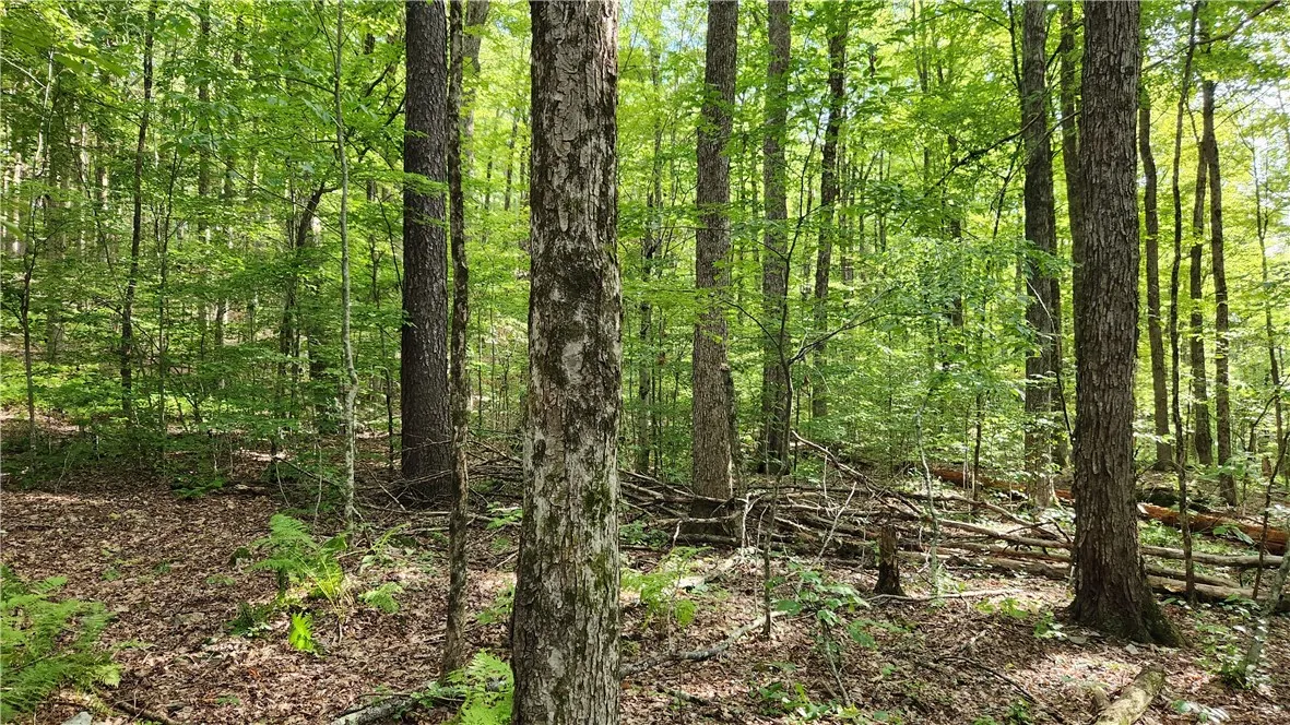 0 Hardknocks Road, Unadilla, New York 13849, Unadilla, New York 13849, ,Land,For Sale,0 Hardknocks Road, Unadilla, New York 13849,R1626482