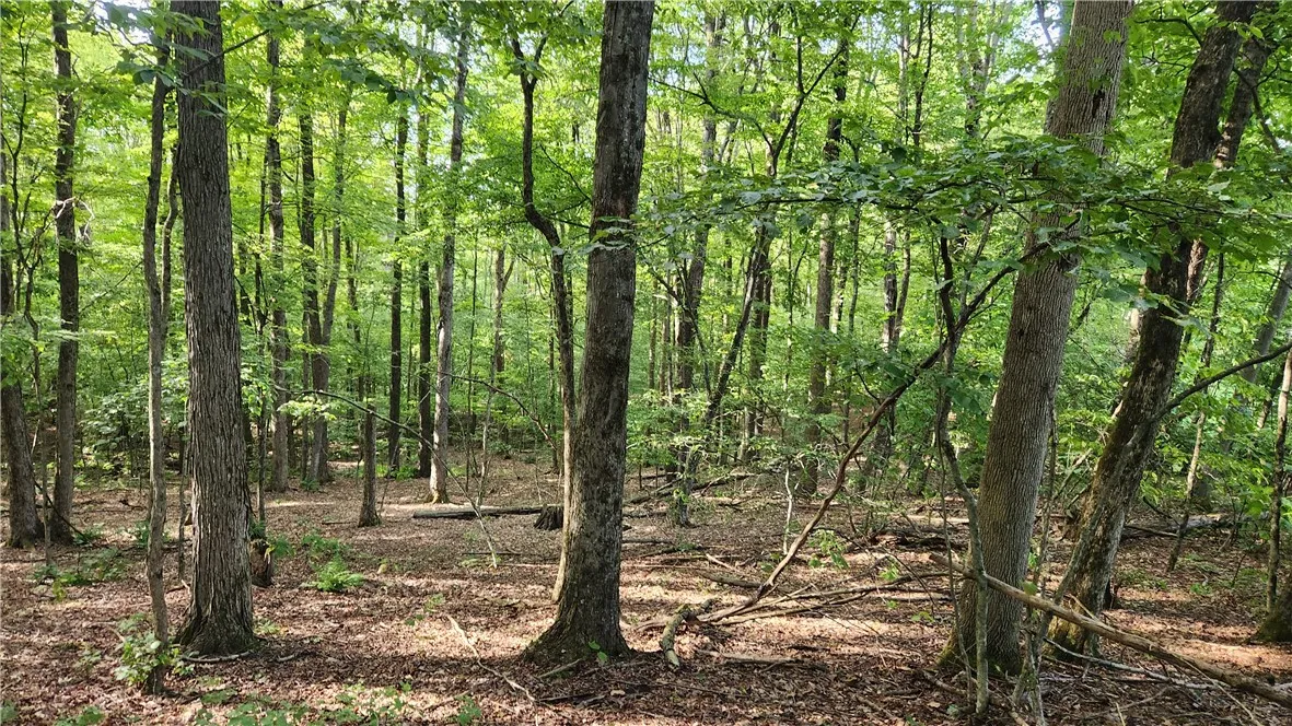 0 Hardknocks Road, Unadilla, New York 13849, Unadilla, New York 13849, ,Land,For Sale,0 Hardknocks Road, Unadilla, New York 13849,R1626482