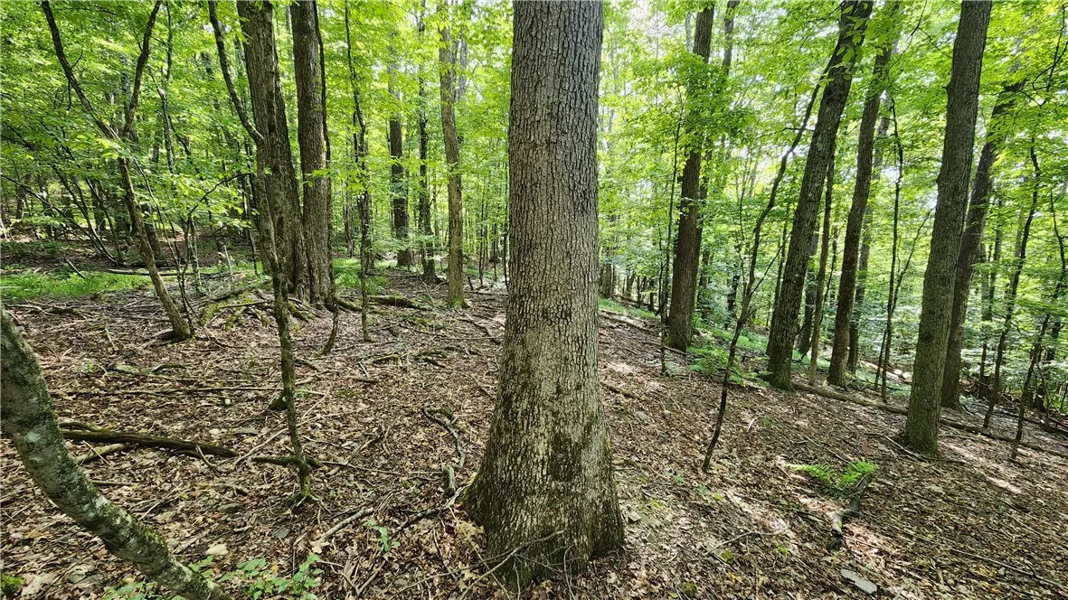 0 Hardknocks Road, Unadilla, New York 13849, Unadilla, New York 13849, ,Land,For Sale,0 Hardknocks Road, Unadilla, New York 13849,R1626482