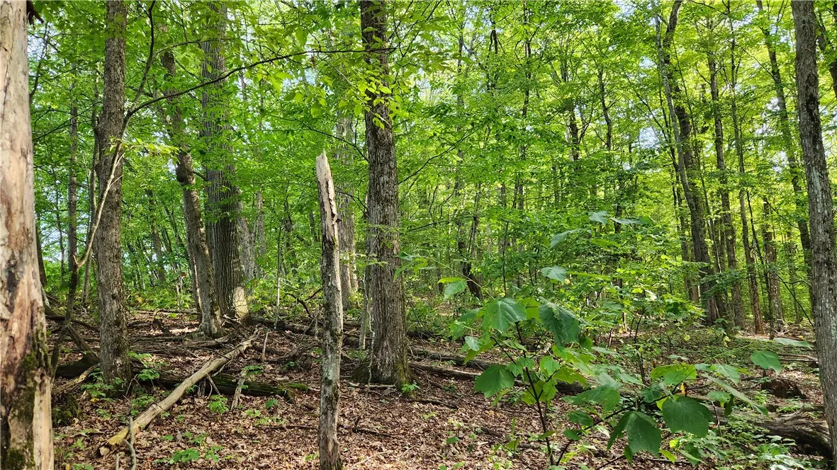 0 Hardknocks Road, Unadilla, New York 13849, Unadilla, New York 13849, ,Land,For Sale,0 Hardknocks Road, Unadilla, New York 13849,R1626482