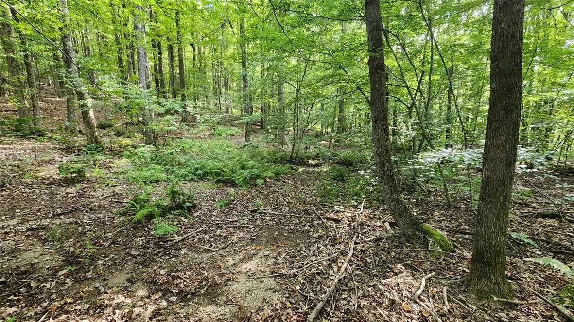 0 Hardknocks Road, Unadilla, New York 13849, Unadilla, New York 13849, ,Land,For Sale,0 Hardknocks Road, Unadilla, New York 13849,R1626482