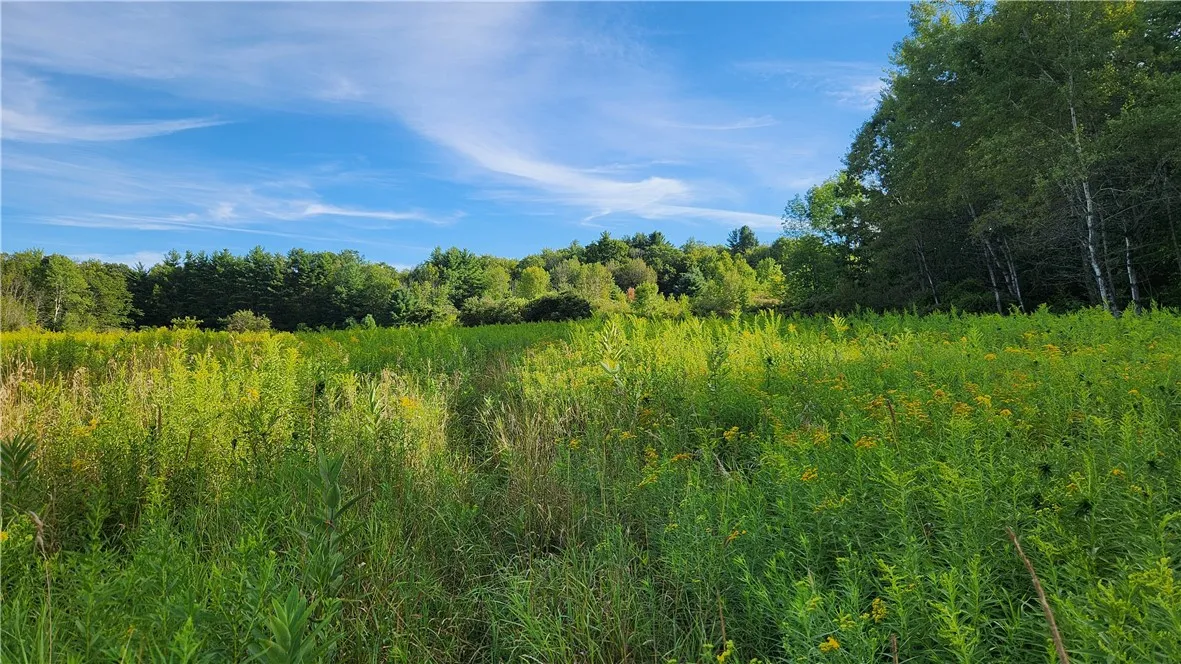 0 Hardknocks Road, Unadilla, New York 13849, Unadilla, New York 13849, ,Land,For Sale,0 Hardknocks Road, Unadilla, New York 13849,R1626482