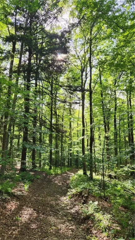 0 Hardknocks Road, Unadilla, New York 13849, Unadilla, New York 13849, ,Land,For Sale,0 Hardknocks Road, Unadilla, New York 13849,R1626377