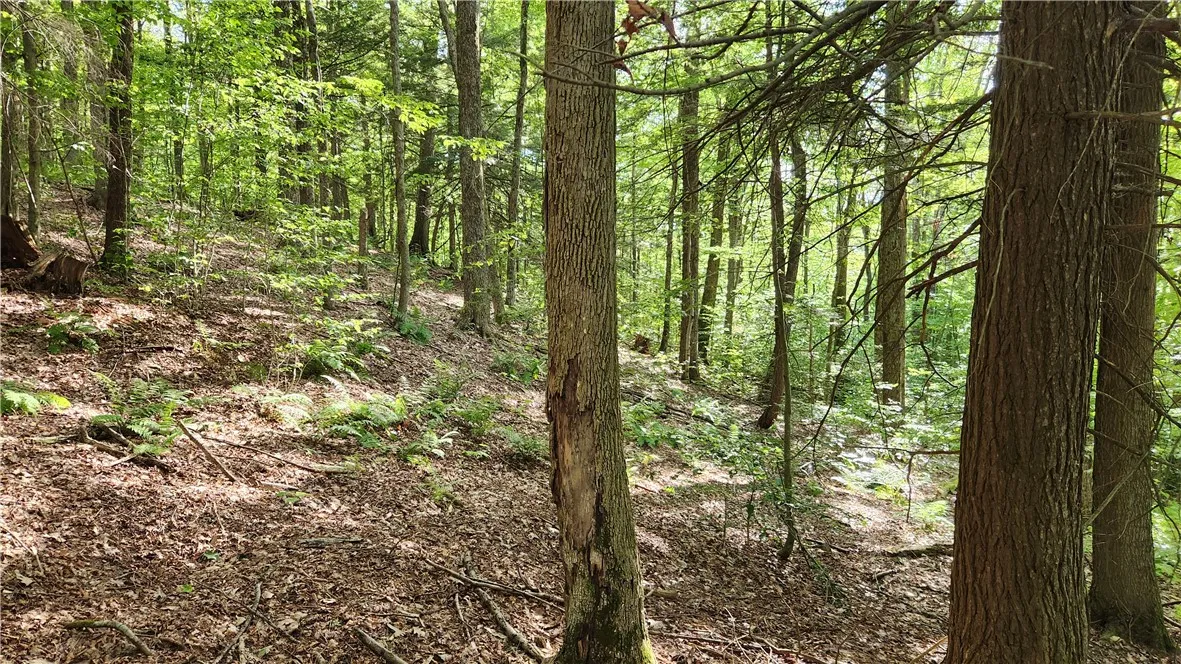 0 Hardknocks Road, Unadilla, New York 13849, Unadilla, New York 13849, ,Land,For Sale,0 Hardknocks Road, Unadilla, New York 13849,R1626377