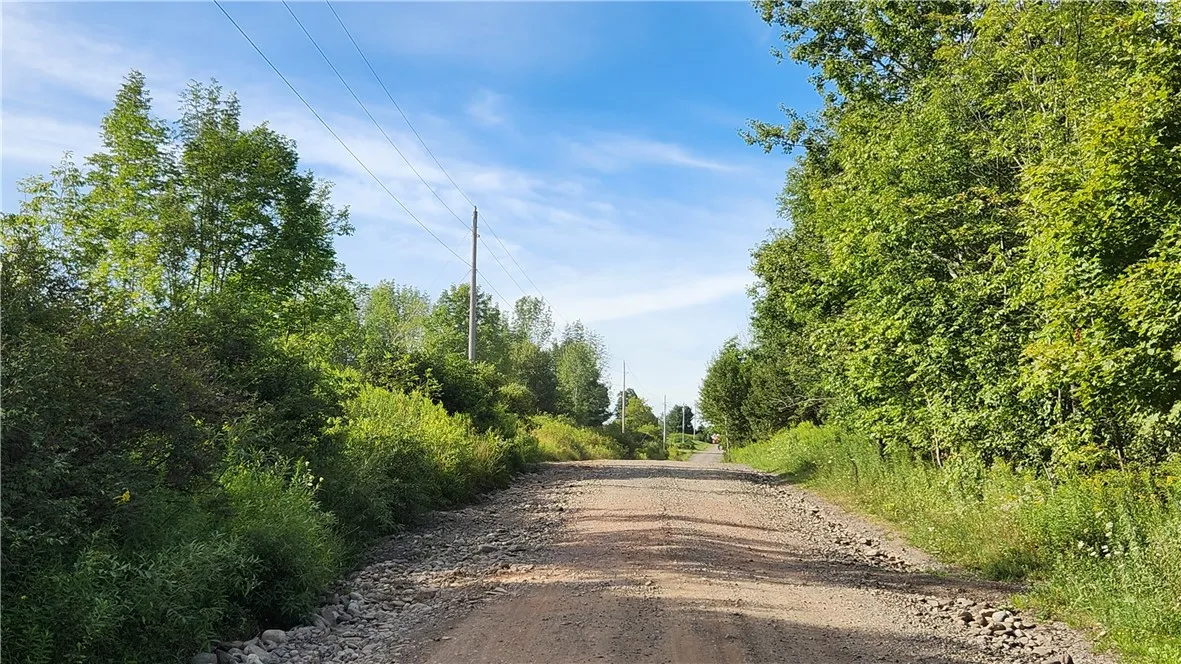 0 Hardknocks Road, Unadilla, New York 13849, Unadilla, New York 13849, ,Land,For Sale,0 Hardknocks Road, Unadilla, New York 13849,R1626377