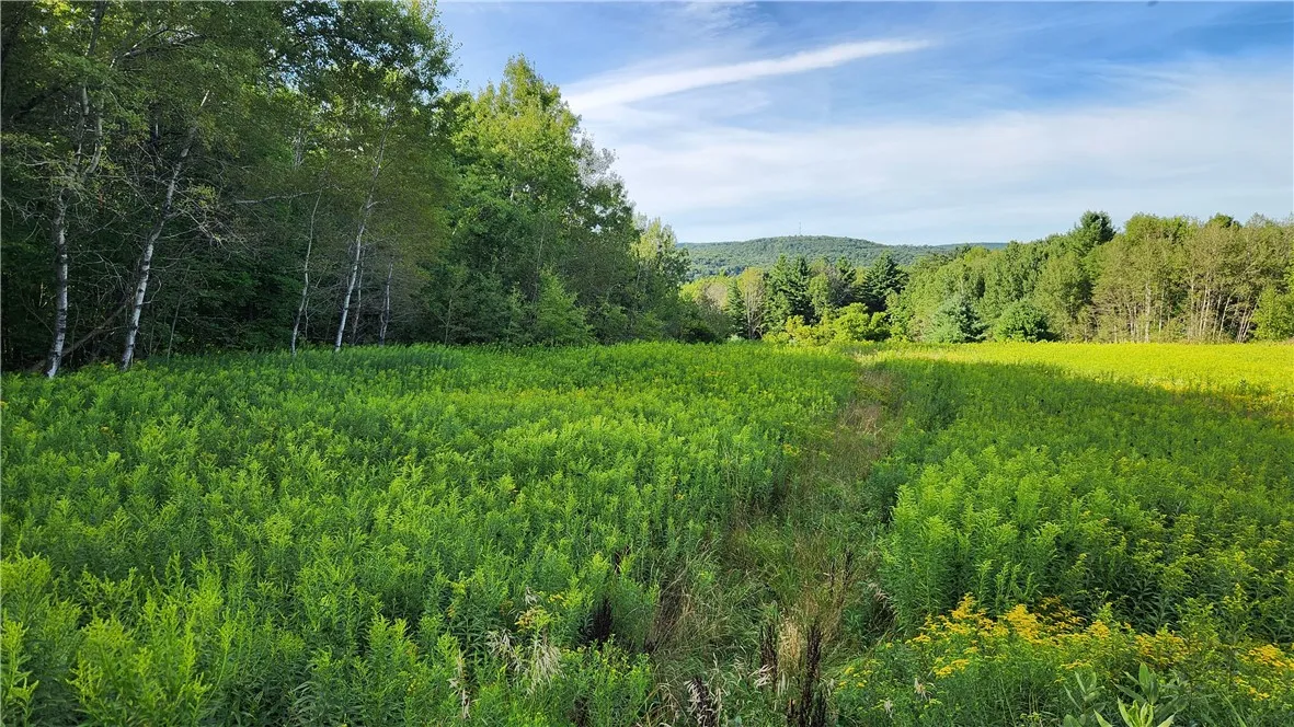 0 Hardknocks Road, Unadilla, New York 13849, Unadilla, New York 13849, ,Land,For Sale,0 Hardknocks Road, Unadilla, New York 13849,R1626377