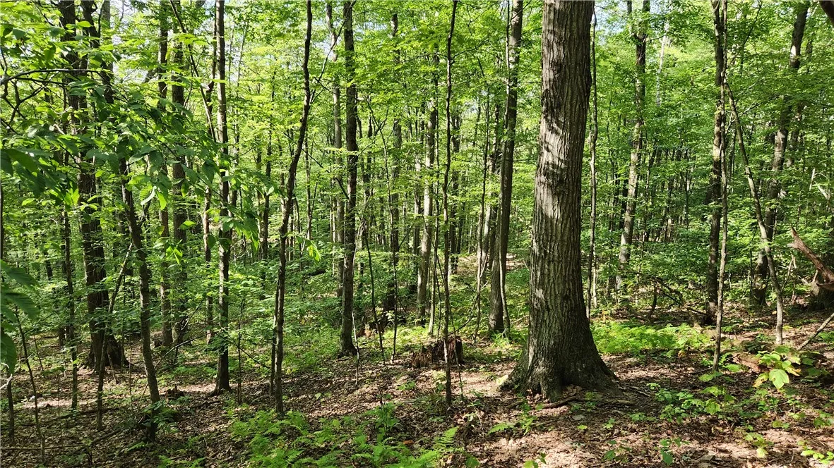 0 Hardknocks Road, Unadilla, New York 13849, Unadilla, New York 13849, ,Land,For Sale,0 Hardknocks Road, Unadilla, New York 13849,R1626377