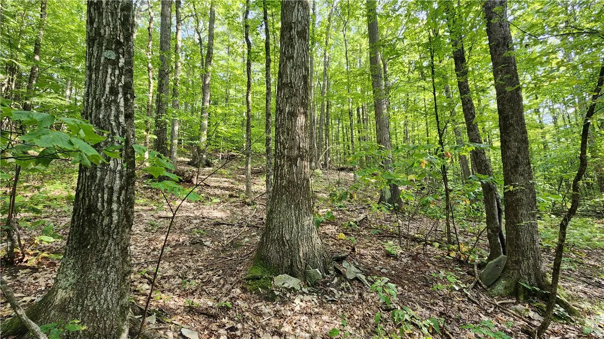 0 Hardknocks Road, Unadilla, New York 13849, Unadilla, New York 13849, ,Land,For Sale,0 Hardknocks Road, Unadilla, New York 13849,R1626377