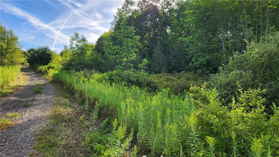 0 Hardknocks Road, Unadilla, New York 13849, Unadilla, New York 13849, ,Land,For Sale,0 Hardknocks Road, Unadilla, New York 13849,R1626377