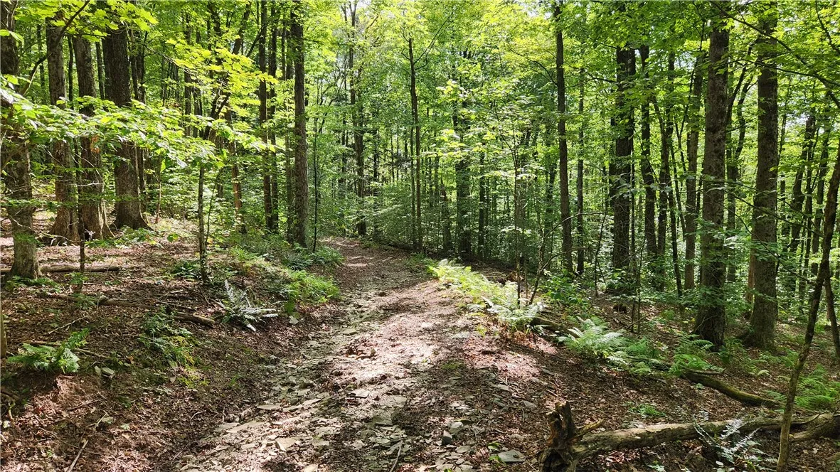 0 Hardknocks Road, Unadilla, New York 13849, Unadilla, New York 13849, ,Land,For Sale,0 Hardknocks Road, Unadilla, New York 13849,R1626377