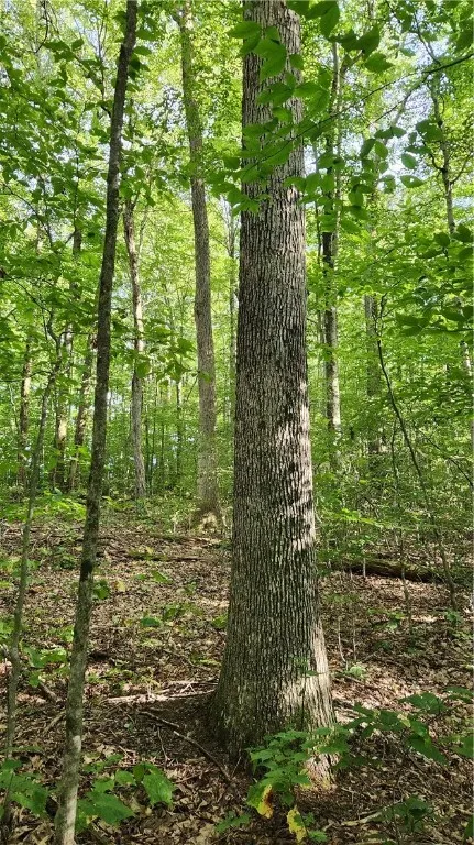 0 Hardknocks Road, Unadilla, New York 13849, Unadilla, New York 13849, ,Land,For Sale,0 Hardknocks Road, Unadilla, New York 13849,R1626377