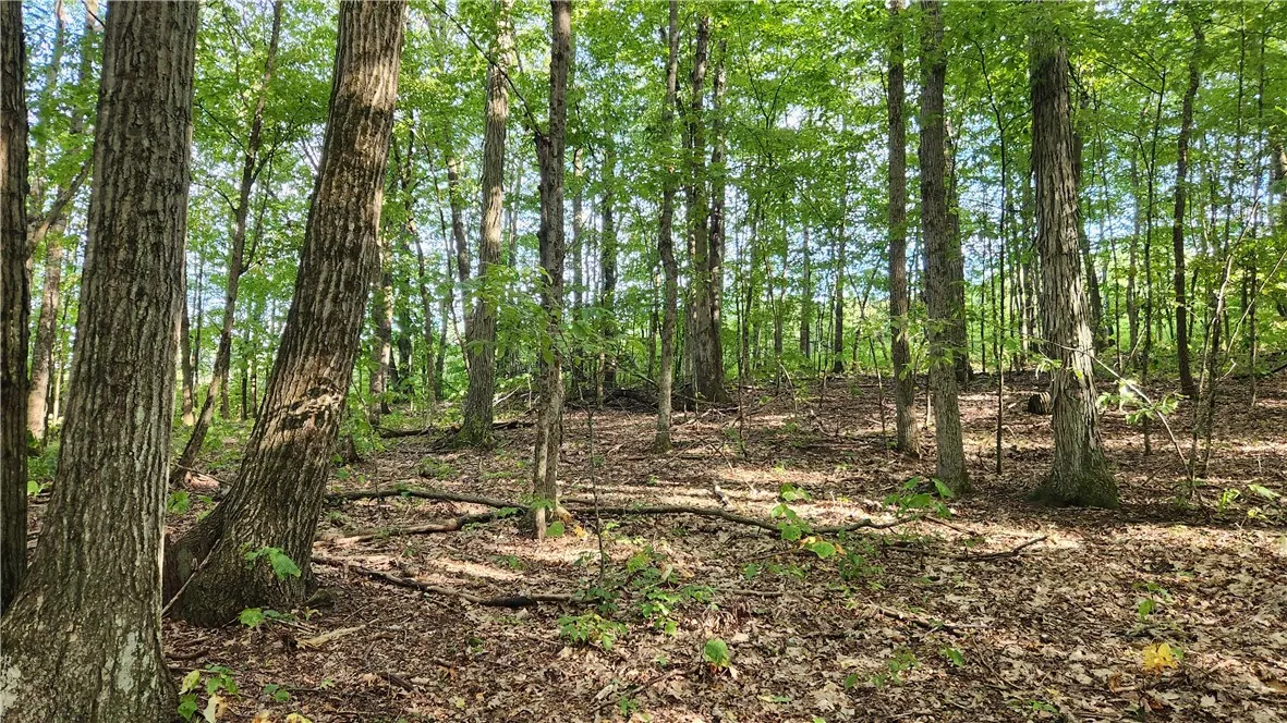 0 Hardknocks Road, Unadilla, New York 13849, Unadilla, New York 13849, ,Land,For Sale,0 Hardknocks Road, Unadilla, New York 13849,R1626377