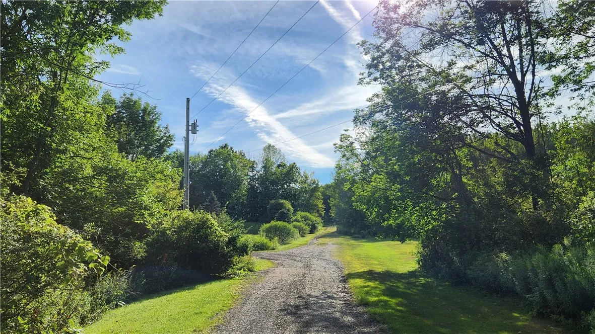 0 Hardknocks Road, Unadilla, New York 13849, Unadilla, New York 13849, ,Land,For Sale,0 Hardknocks Road, Unadilla, New York 13849,R1626377