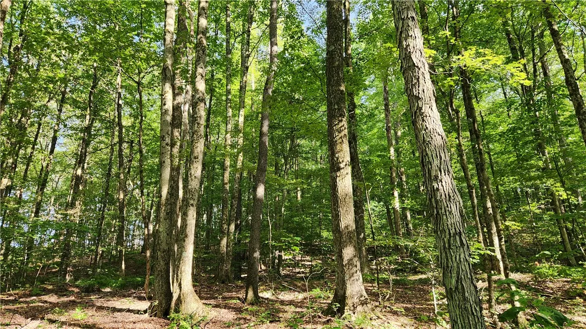0 Hardknocks Road, Unadilla, New York 13849, Unadilla, New York 13849, ,Land,For Sale,0 Hardknocks Road, Unadilla, New York 13849,R1626377