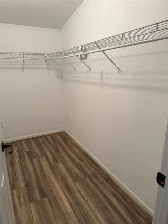 Primary Walk-In Closet
