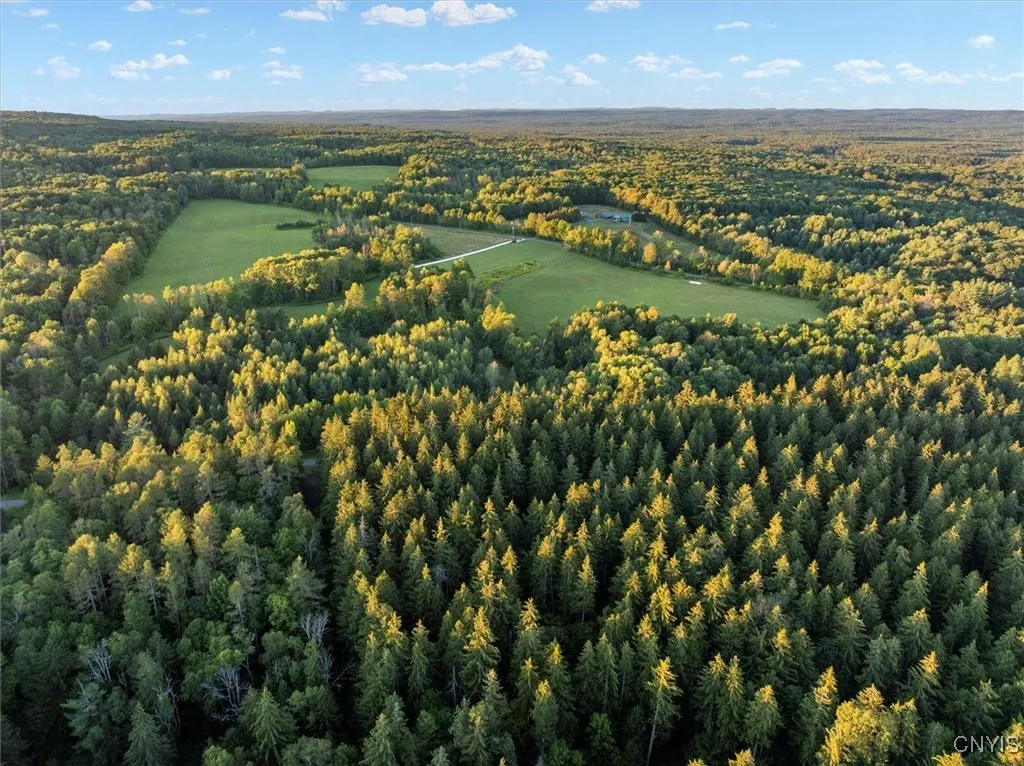00 Military Road, Salisbury, New York 13365, Salisbury, New York 13365, ,Land,For Sale,00 Military Road, Salisbury, New York 13365,S1630936