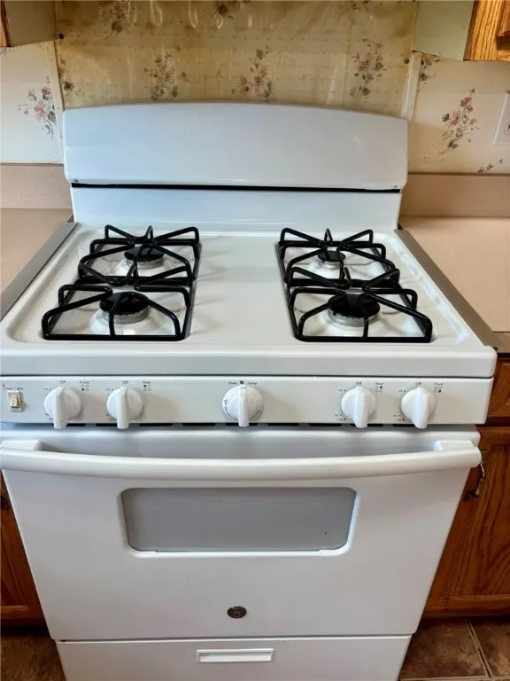Gas Stove